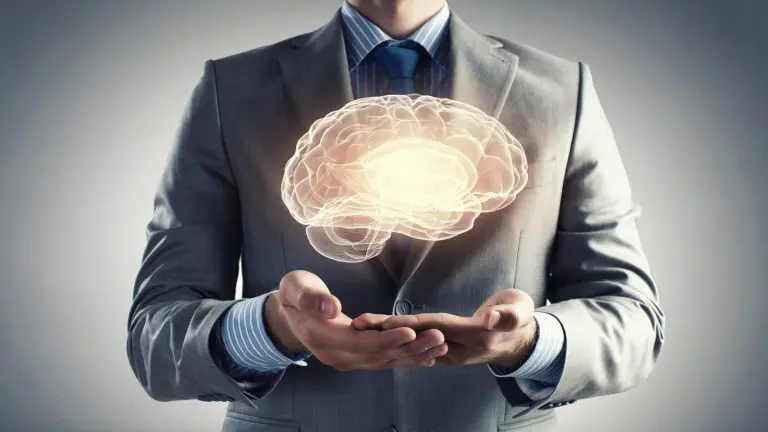 Brain