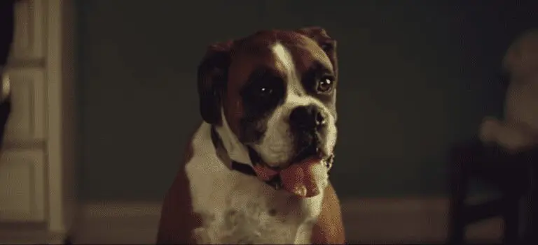 John Lewis Christmas ad