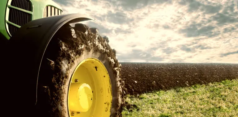 rural economy