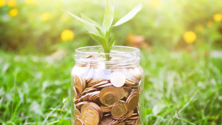 florist investment