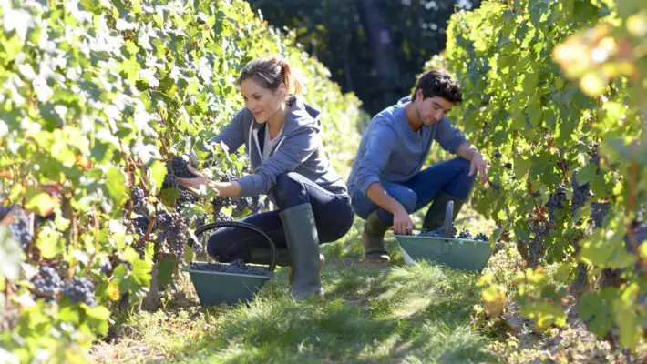 seasonal jobs