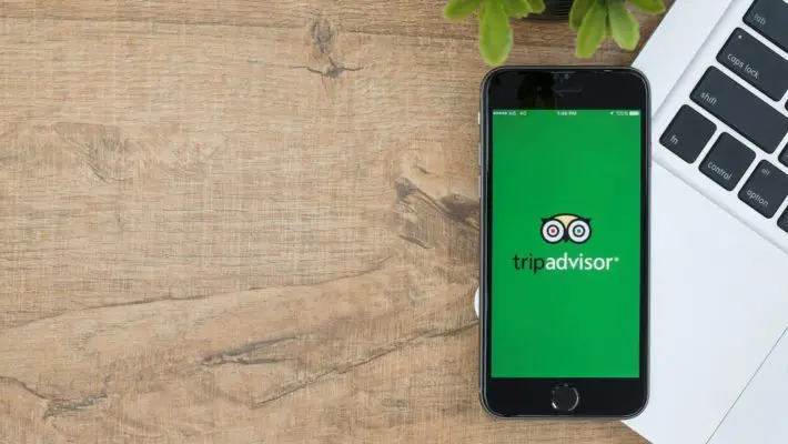 tripadvisor shares