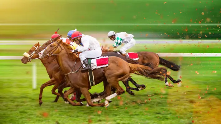 grand national