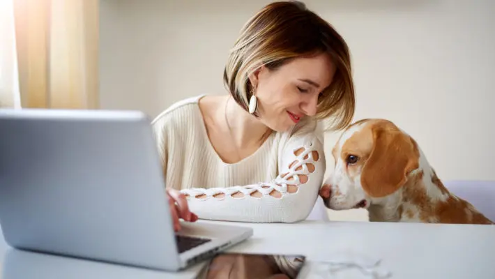 dog in the office