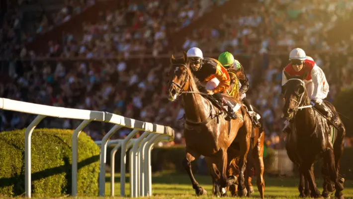 horse race