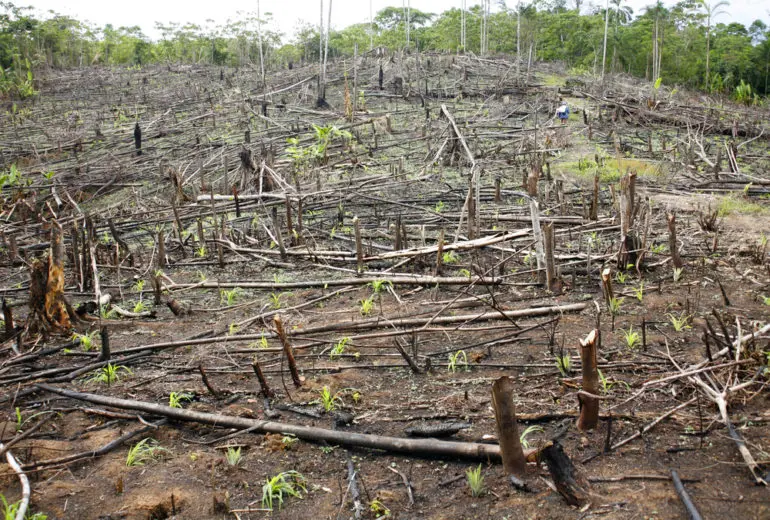 Demonstrating its commitment to delivering lasting change and contributing to a sustainable future, energy tech firm, Open Energy Market (OEM) is proud to announce its partnership with Cool Earth, the non-profit organisation that works alongside rainforest communities to halt deforestation and climate change.