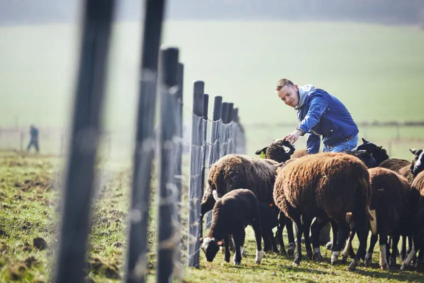 sheep farmer