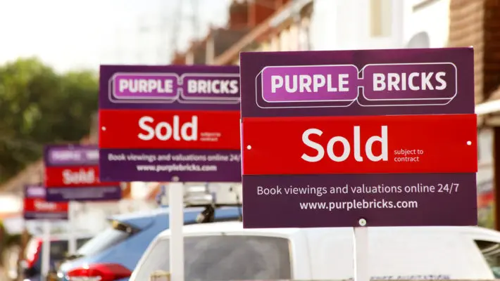 Purple Bricks
