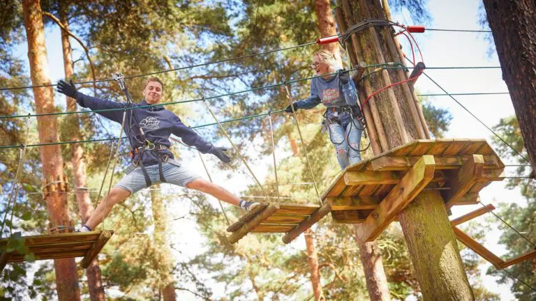Go Ape