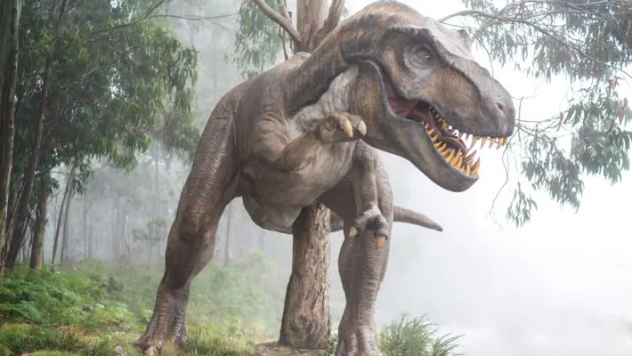 Dinosaur