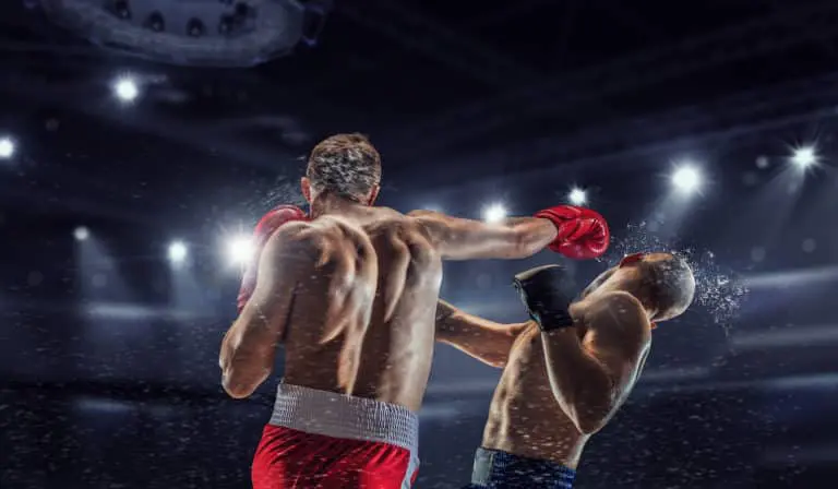 Professional box match