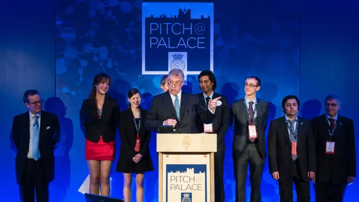 Pitch at Palace