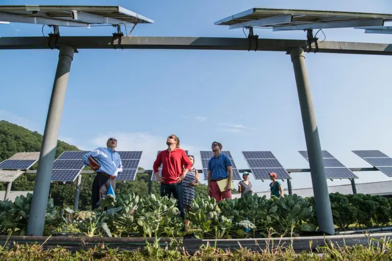 eco business
