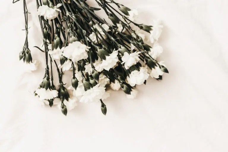 Funeral