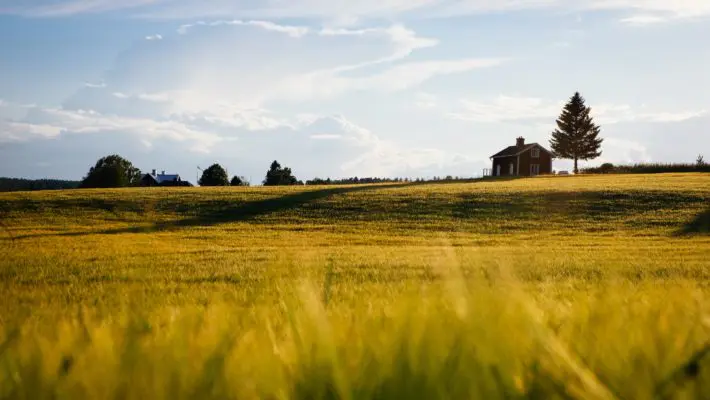 farm land