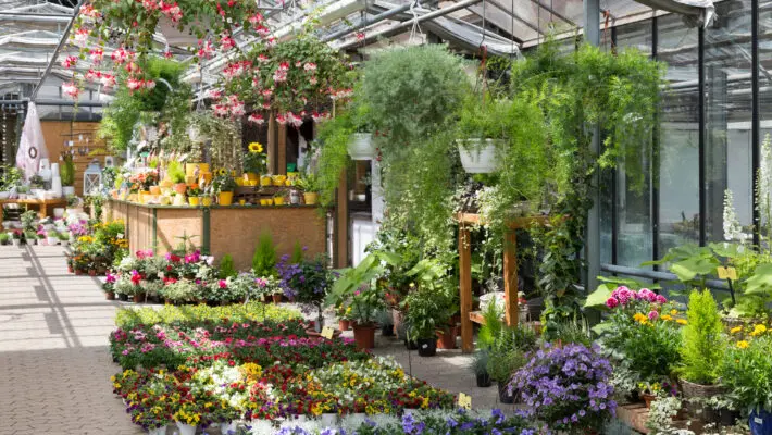 Garden center selling plants in a greenhouse