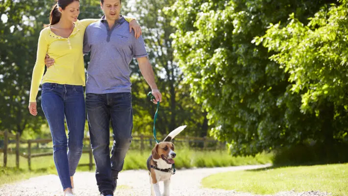 dog walking