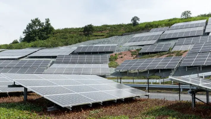 carbon neutral business