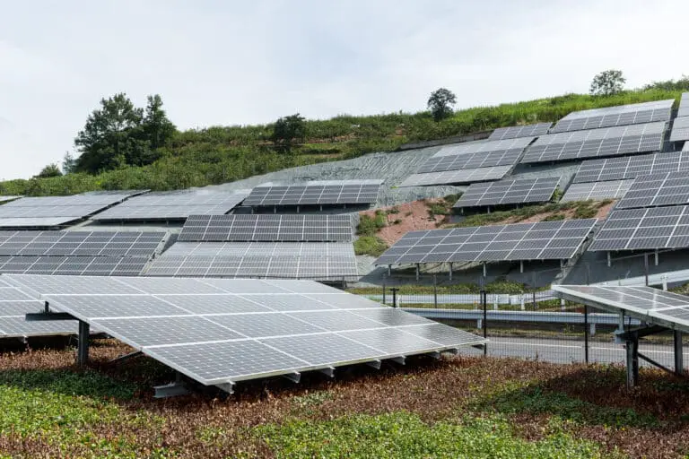 carbon neutral business