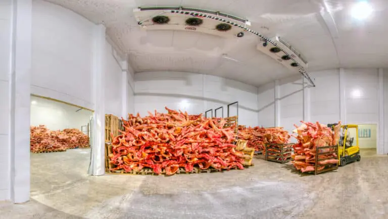 Frozen meat at a storage