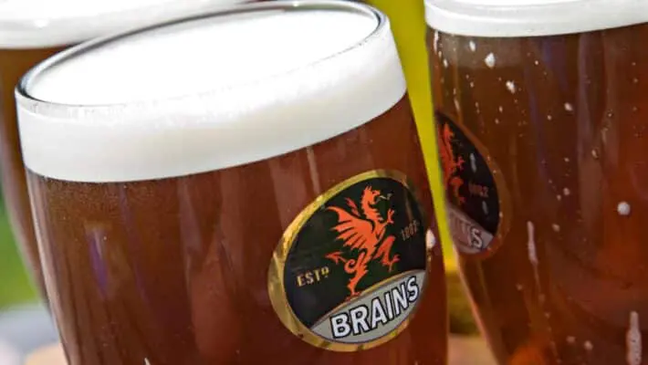 Brains