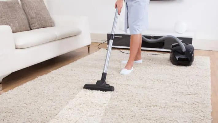Cleaner