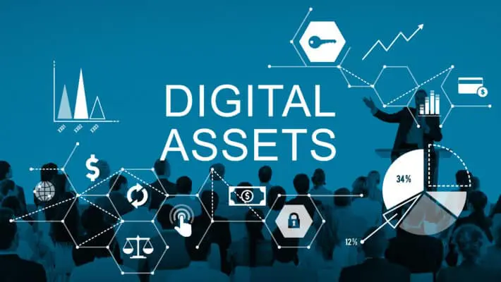 Digital,Assets,Business,Management,System,Concept
