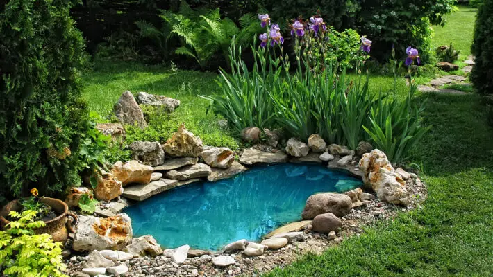 Small,Pond,On,A,Summer,Day,In,The,Garden