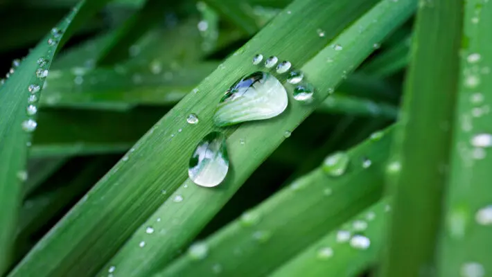 Carbon,Footprint,Made,Of,Drop,Of,Water