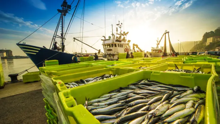 Fishing,Boat,Unloading,Its,Catch,Of,The,Day