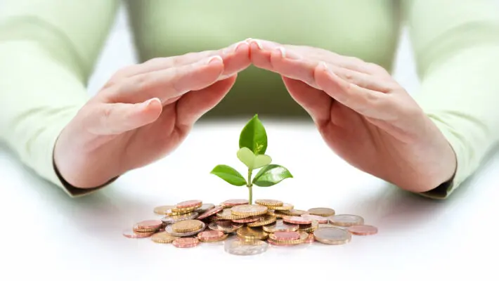 Protect,New,Business,Start-up,-,With,Hands,And,Plant