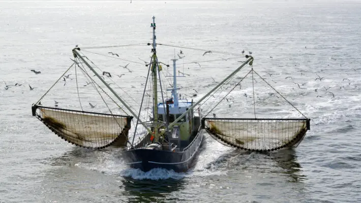 French fishing trawler