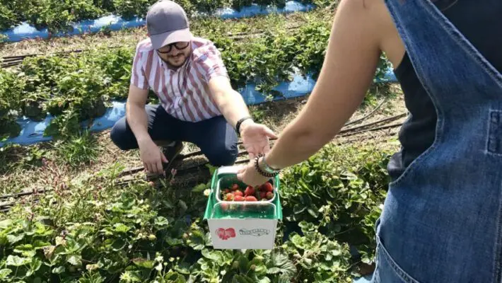 Migrant workers