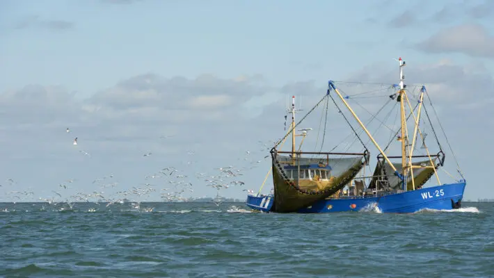 France’s president, Emmanuel Macron, has shelved his threat to clog up UK exports and ban its fishers from landing catches at French ports from midnight in a dispute over access to British fishing waters, as his deadline approached.