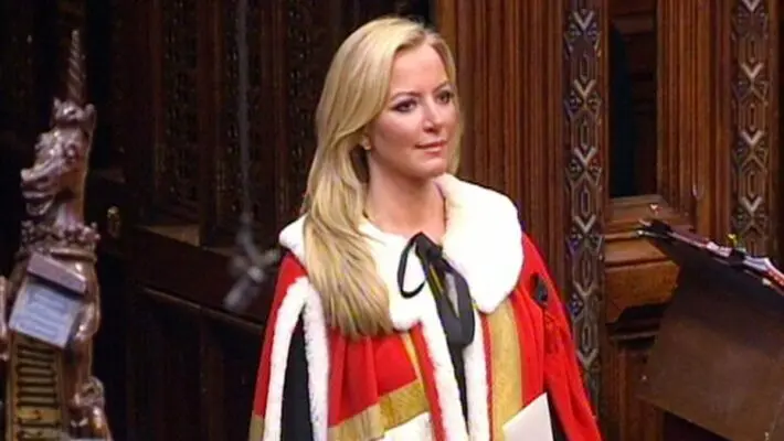 A prominent Tory peer has been accused of racism for allegedly saying that someone was “a waste of a man’s white skin”.