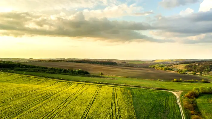 Farmers in England will be given taxpayers’ cash to rewild their land, under plans for large-scale nature recovery projects announced by the government.