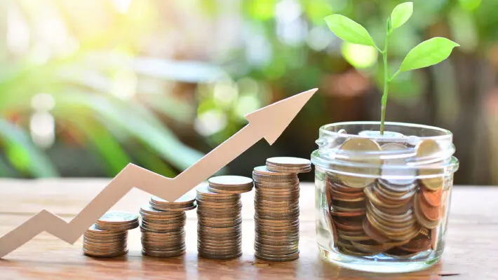 Coins,Money,Saving,Setting,Growth,Up,Increase,To,Interest,For