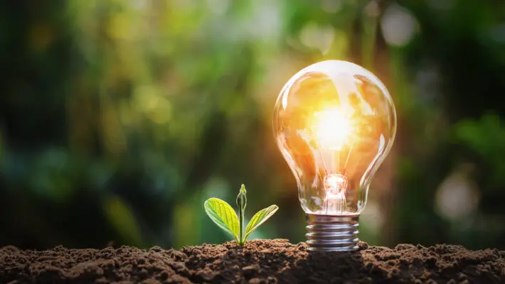 Lightbulb,With,Small,Plant,On,Soil,And,Sunshine.,Concept,Saving