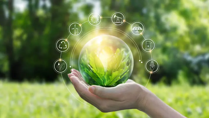 Hands,Protecting,Globe,Of,Green,Tree,On,Tropical,Nature,Summer