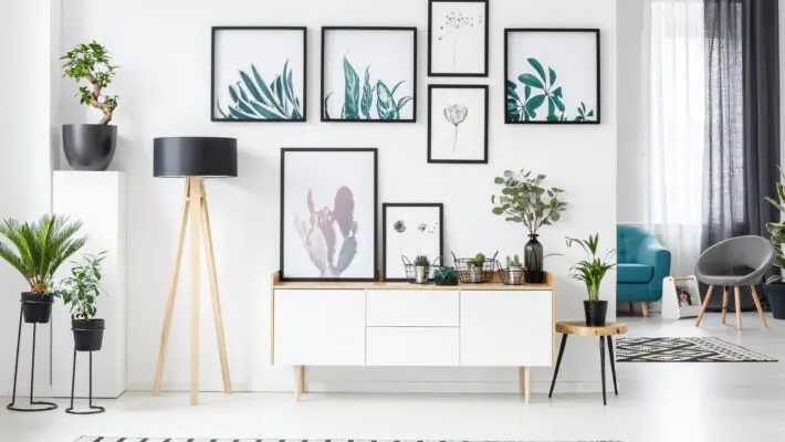 Botanical,Posters,On,The,Wall,In,A,Living,Room,Interior