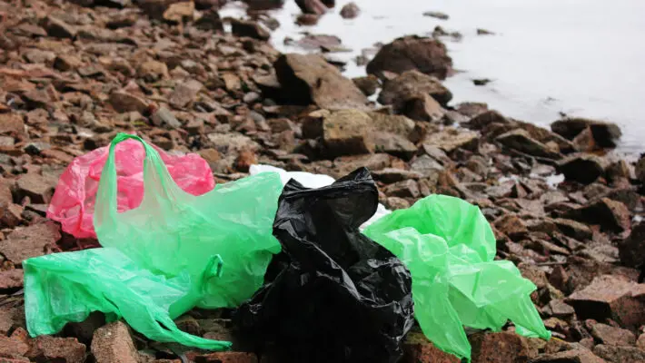 Wales has moved a step closer to becoming the first country in the UK to ban thin plastic single-use carrier bags, with anyone caught supplying them facing prosecution in a magistrates court and a fine.