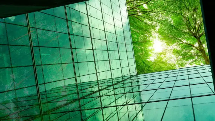 Eco-friendly,Building,In,The,Modern,City.,Green,Tree,Branches,With