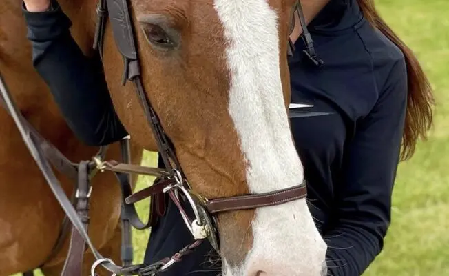As part of our series profiling the finalists of the Business Champion Awards 2023 we spoke to Ella Jones, a finalist in the young entrepreneur category of the awards and founder of equestrian clothing company, Ancora Equestrian