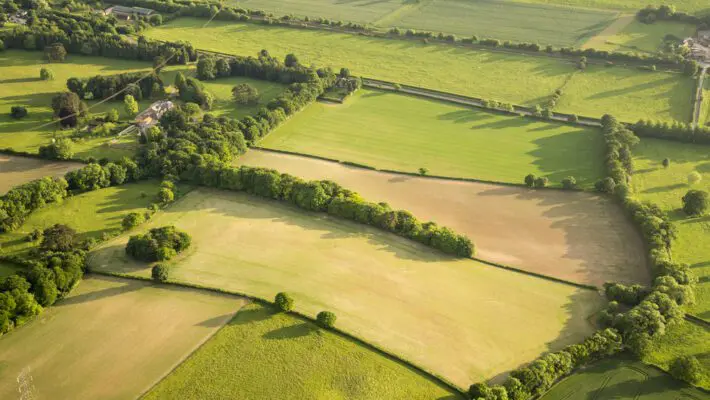 Investors find safety in greener pastures