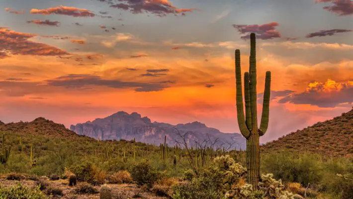 Sunset,In,The,Sonoran,Desert,Near,Phoenix,,Arizona