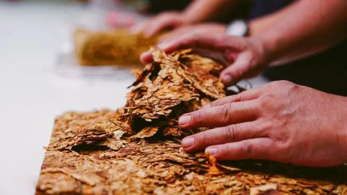 Embarking on the journey of starting a tobacco shop can be both exciting and daunting. As an aspiring entrepreneur, venturing into the world of tobacco retail requires careful planning, dedication, and a keen understanding of the industry.