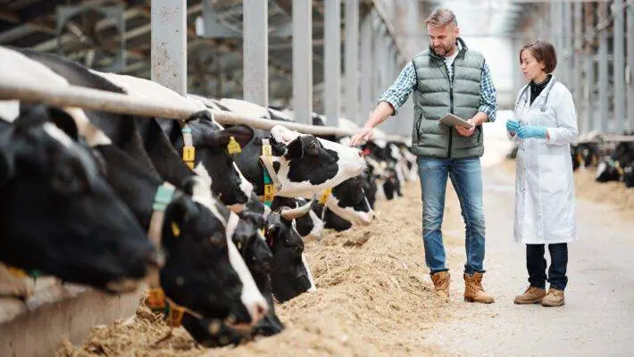 The US is pushing for Britain to open up its agricultural markets to US traders as part of a new economic agreement that would fall just short of a free trade agreement.