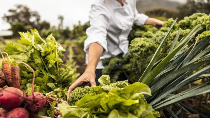 With the ever-increasing global population, comes the challenge of providing sustainable and nutritious food for all.