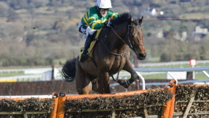 Management at Cheltenham Racecourse hope that rising numbers of visitors from Ireland will help them achieve a sizeable increase in spectators for the November Meeting over the next few years.