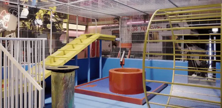 Big Fang Collective (BFC),the experiential leisure operator has obtained £5.5million in growth capital to support plans for further expansion across the UK. 